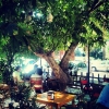 Cafe 5 Dk.